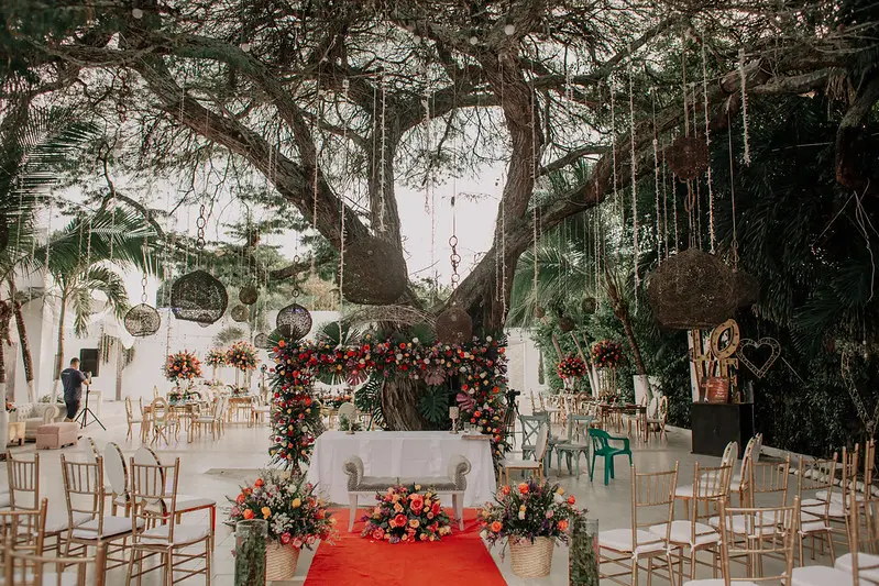 Ceremonia de boda al aire libre bajo un árbol centenario para casarse en Cartagena