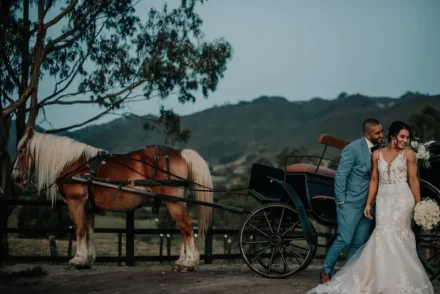 bodas campestres